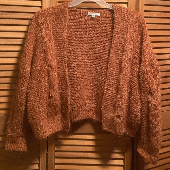 Woven Heart Rust Soft, Fuzzy and Cuddly Cropped Cardigan - Picture 1 of 16